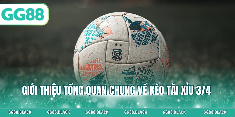 Giới thiệu tổng quan chung về kèo tài xỉu 3/4